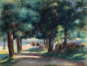 Chemin sous les arbres