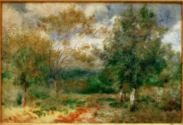 Paysage ensoleillé