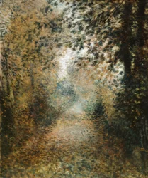 Sous-bois