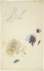 Études d