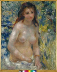 Torse de femme au soleil