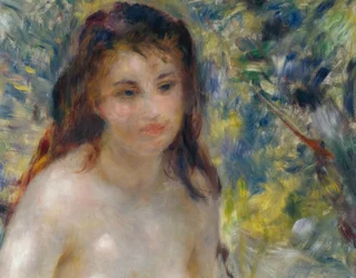 Torse de femme au soleil