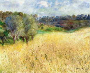 Champ de blé, 1879