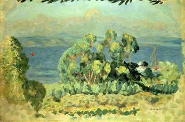 Eucalyptus