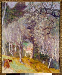 Maison dans les oliviers