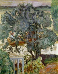L’arbre près de la rivière