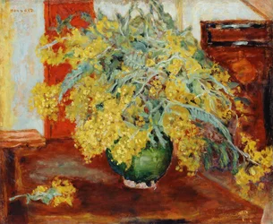 Mimosas
