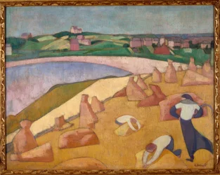 Moisson au bord de la mer