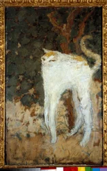 Le Chat blanc