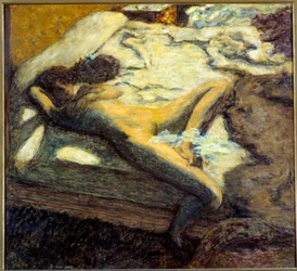 La jeune femme nue indolente allongée sur un lit