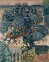 Arbre près de la rivière