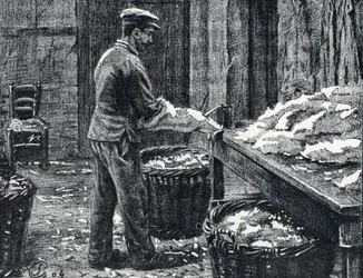 Cuir : fente des peaux de lapin pour faire du cuir Gravure tirée de 