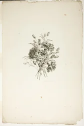 Bouquet avec des œillets, de la Collection de différents bouquets de fleurs, inventé et dessiné par Jean Pillement et gravé par P. C. Canot