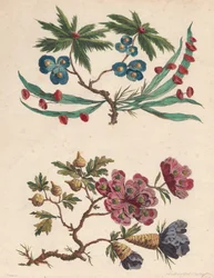 Deux branches de fleurs imaginaires