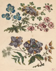 Deux branches de fleurs imaginaires