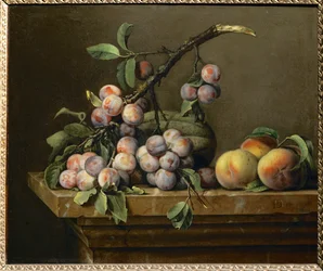 Prunes, courges et peches sur un entablement de marbre …