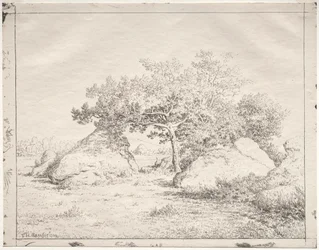 Cerisier à Blau