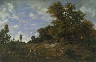 Le Bord des bois à Monts-Girard, forêt de Fontainebleau