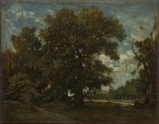 Le Chêne, 19ème siècle