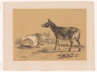 Étude de deux ânes