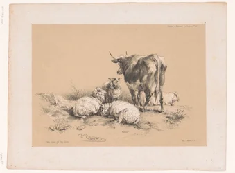 Études de quatre moutons et une vache (Études d