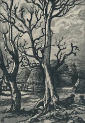 Une Terracine, 1919