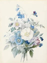 Asters bleus, rosa spinosissima (hybride), campanule, violettes, œillet et une rose sauvage