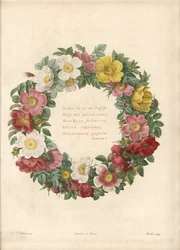 Couronne de roses avec une devise grecque - Eau forte de Charlin, d
