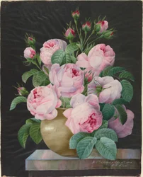 Roses roses dans un vase