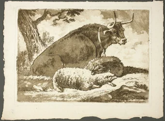 Un taureau et deux moutons