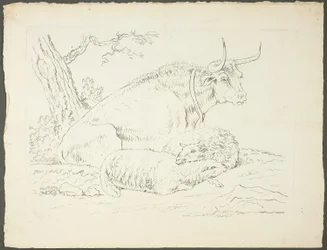 Un taureau et deux moutons