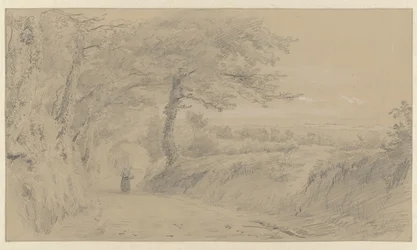 Paysage à Jersey