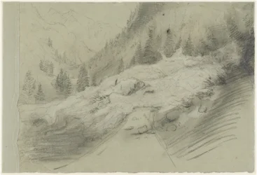 Avalanche dans un paysage alpin