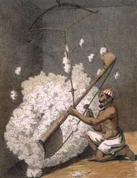 Cardage du coton, 1782