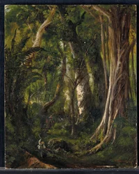 Voyageurs dans une forêt cubaine