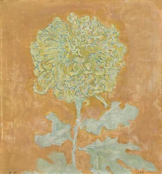Chrysanthème