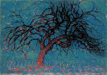 Arbre rouge
