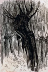Saules, 1902-1904