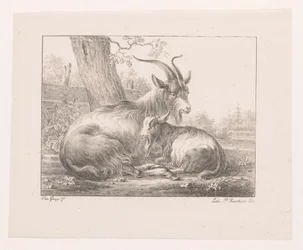 Bouquetin et chèvre dans un paysage