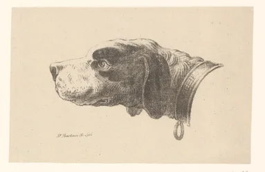 Tête de chien avec collier