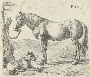Cheval et chien dans un pré