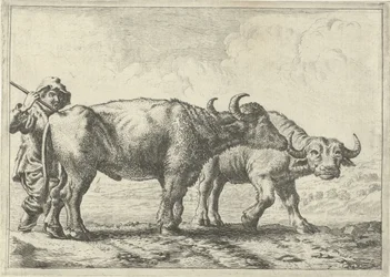 Deux buffles et un berger (Verschillende dieren)
