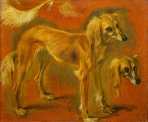 Deux études d