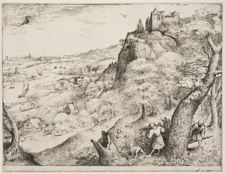 Chasse au Lapin