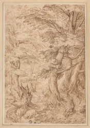 Paysage forestier avec animaux sauvages