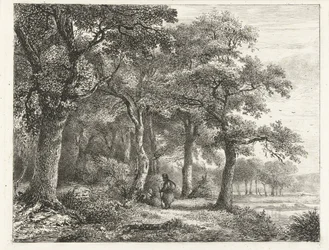 Paysage forestier avec homme au sac à dos