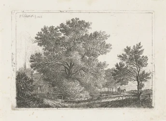 Paysage avec grand arbre