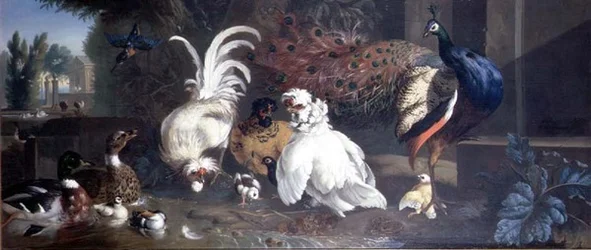 Un paon, des poules, des canards et un martin-pêcheur