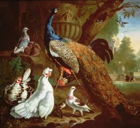 Un paon dans un paysage classique, 1719