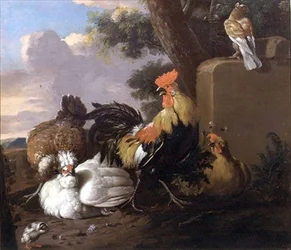 Oiseaux dans un paysage